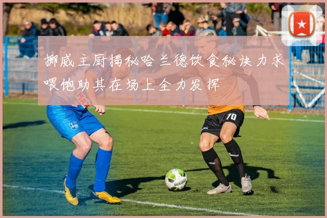 挪威主厨揭秘哈兰德饮食秘诀力求喂饱助其在场上全力发挥